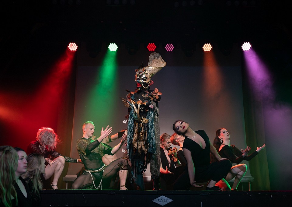 Colaborative performance with Puppet character 'Raja the Queen' and established Drag and gender fluid performance artists, at Salt, Oslo.